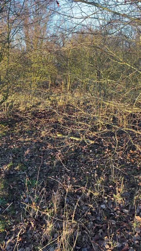 Rosebay Gay And Naked On Twitter Get Involved So Closed To Be Finishing Rosebayuk For