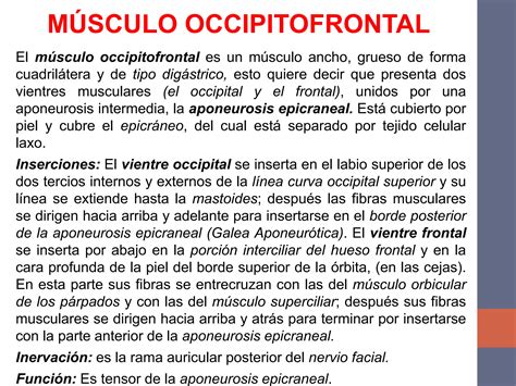 Clase Miologia De Cabeza Faciales Pdf