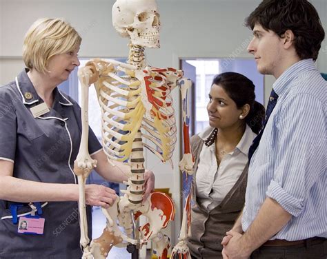 medical training stock image  science photo library
