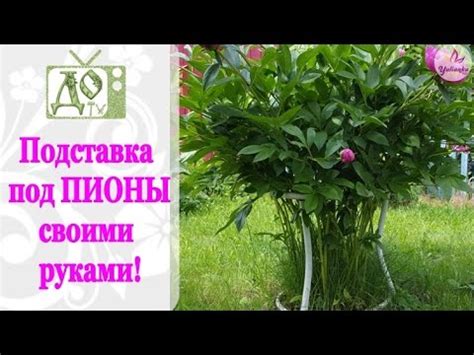 Подставка под ПИОНЫ своими руками. МАСТЕР КЛАСС - YouTube