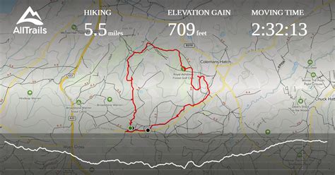 explore ashdown forest walk alltrails
