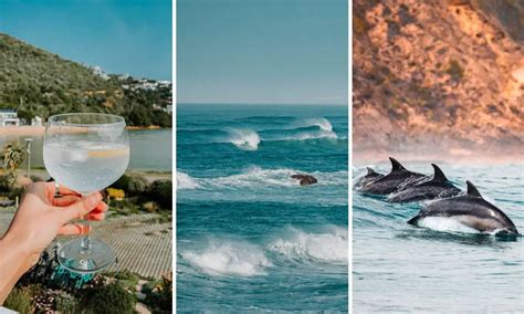 10 Unique & Fun Things to Do in Knysna, South Africa