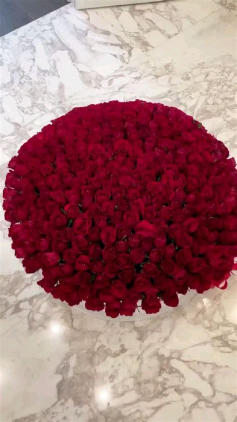 Роза 🌹 | Güller