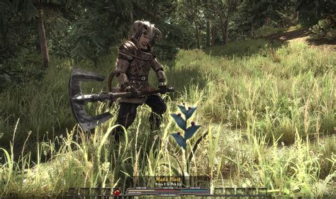 ArcaniA: the Complete Tale Review | Gamer Living