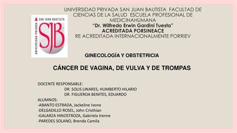 C Ncer De Vagina Vulva Y Trompa