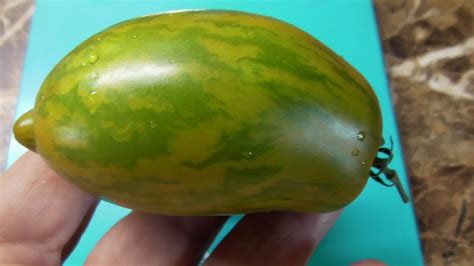 Томатные Гномы - новинки 2022 года. Гном Дерзкая Мери - красивый ...