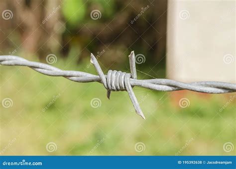 Barb of Wire Fence stock photo. Image of barbed, metal - 195392638