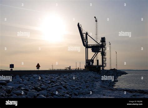 Silhouette De Grue De Mer Banque De Photographies Et Dimages Haute