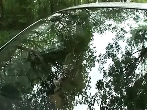 British MILF Takes A Walk In The Woods Pornstar Porn XHamster