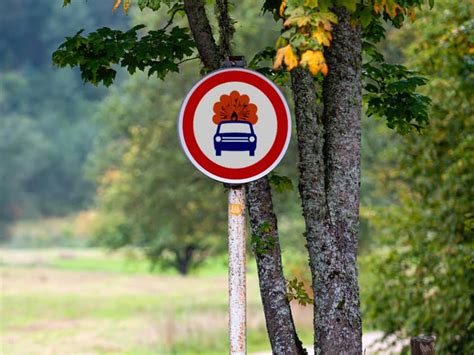 Five of Europe's Most Confusing Road Signs | Engoo 每日新闻 