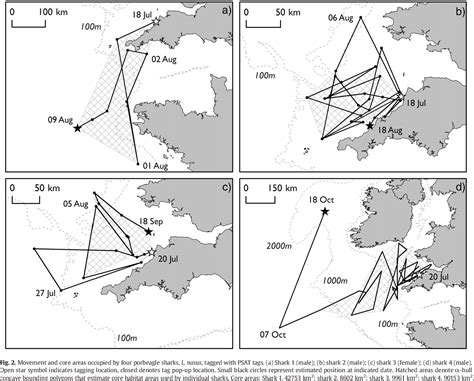 PDF First Results From Satellite Linked Archival Tagging Of Porbeagle