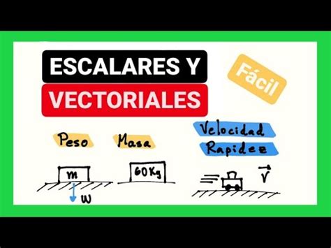 Magnitudes Escalares Y Vectoriales YouTube