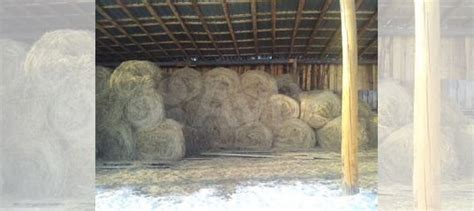 Сено купить в Тюмени | Животные и зоотовары | Авито