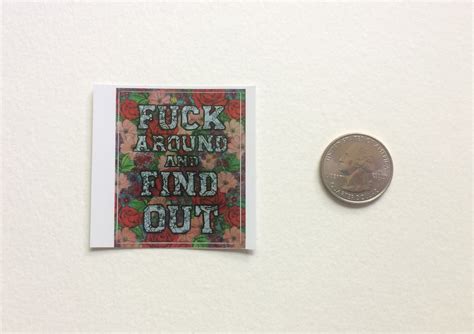 Fuck Around And Find Out Vinyl Sticker Decal Red Rose Mixed Etsy