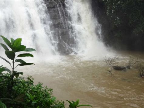 8 Enchanting Waterfalls in Ooty Straight out of Fairy-land