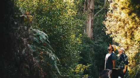 No Car Required: Tips for Exploring Hobart on Foot - Hobart and Beyond