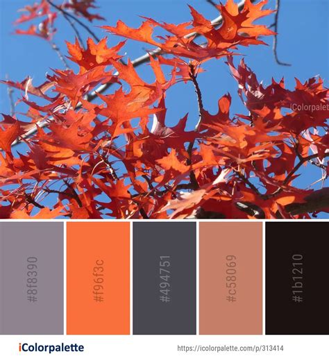 162 Maple Leaf Color Palette ideas in 2024 | iColorpalette