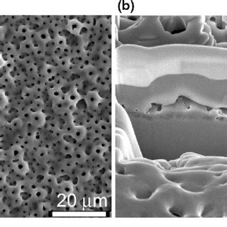 Sem Images Of A Titanium Oxide Coating Topography And B Cross Sectioned