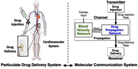 A Molecular Communication System Model For Particulate Drug Delivery