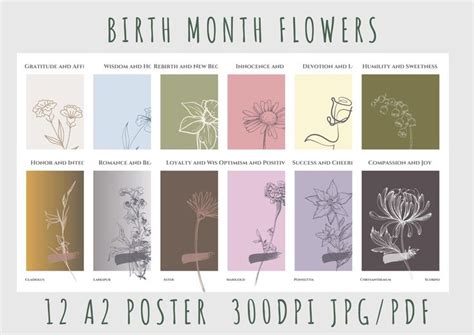 Zodiac Birth Month Flowers Printable Set