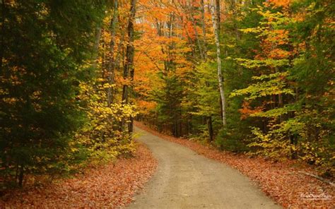 🔥 40 Fall Road Wallpapers Wallpapersafari