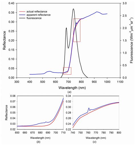 Chlorophyll Fluorescence Spectrum