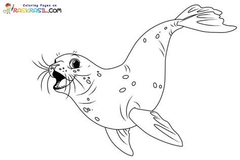 Harp Seal Coloring Page