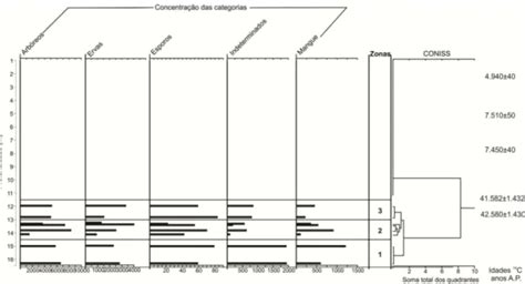 Descrição do registro palinológico Sedimentologia estratigrafia