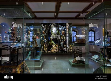 Freiberg City and Mining Museum Stock Photo - Alamy