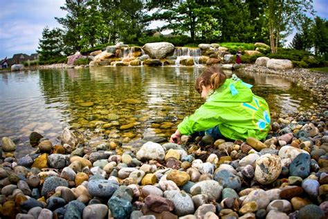 Child Throwing Rocks Stock Photo Image Of Pretty Pond 7317212