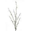 Faux Pussy Willow Stem From Red Hot Plants