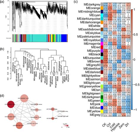 Weighted gene co‐expression network analysis (WGCNA) analysis for ... 