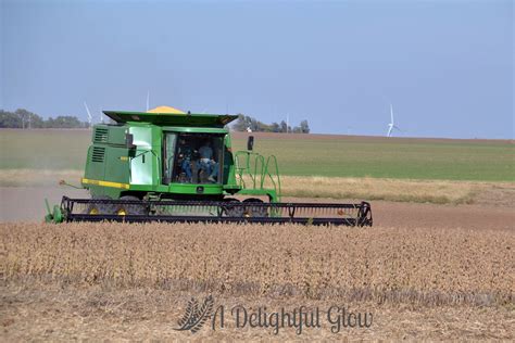 Soybean Harvest 2016 ⋆ A Delightful Glow