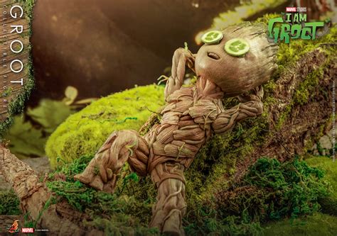 Hot Toys TMS I Am Groot Hot Toys Complete Checklist