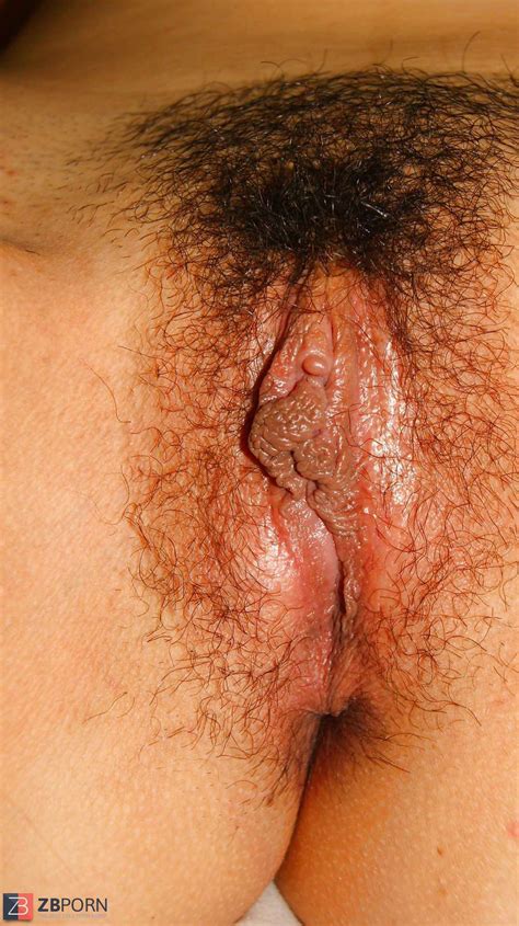 Furry Delicious ZB Porn