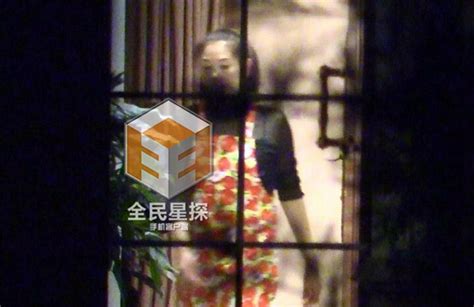 王全安张雨绮爱情回顾闪婚到分道扬镳手机新浪网