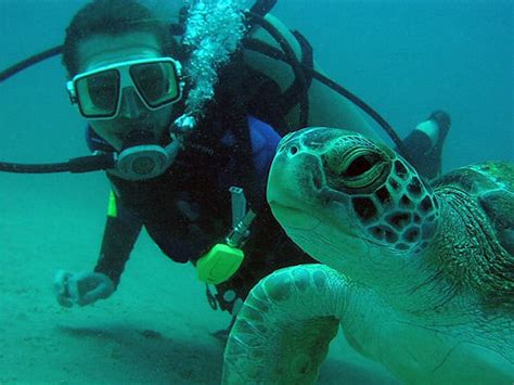 Scuba Diving | Costa Rica | Osa Peninsula | Drake Bay