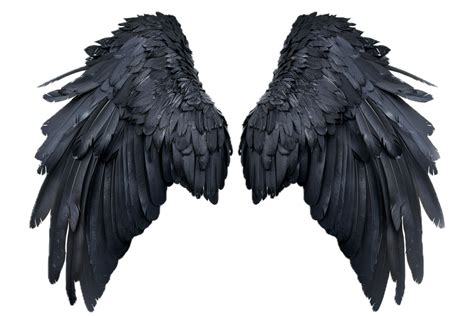 Black Feathered Angel Wings. 46005878 PNG