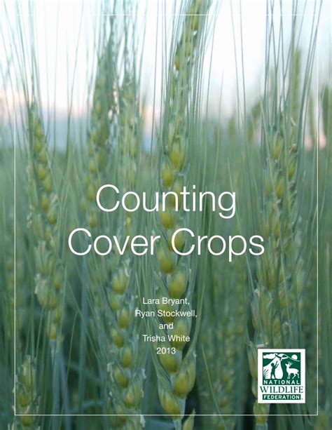 Pdf Counting Cover Crops Cover Crops Forage Turf Seeds