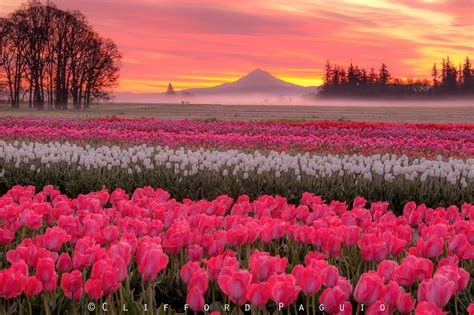 Landscape Wallpaper Cute Laptop Wallpaper Spring Wallpaper