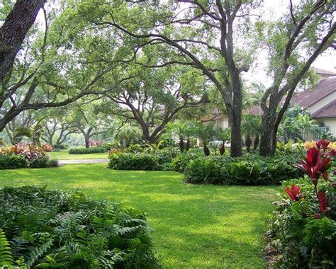 22 Tree Shade Landscaping Ideas For Your Yards Home Design Lover