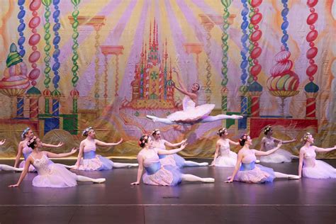 Adult Ballet | Flight Feathers Ballet