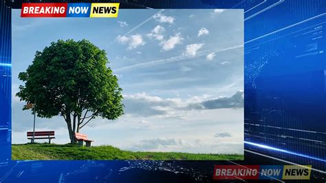 Lake Erie's Hidden Past Exposed by Surge - breakingnownews.com