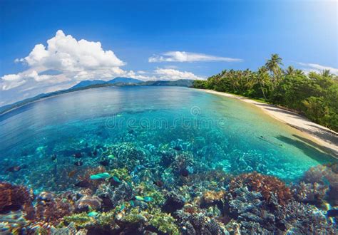 Beautiful Beach with a Coral Reef on a Tropical Island Stock Photo ...