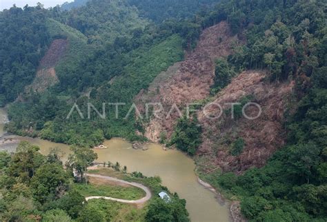 Pembalakan Taman Nasional Kerinci Seblat Antara Foto