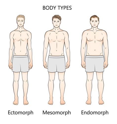 Sheldon's Constitutional Theory: Somatotyping