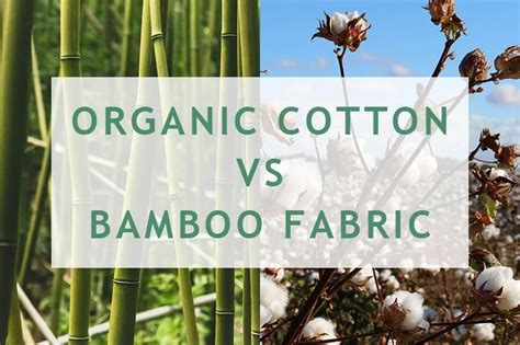 Organic Cotton Vs Bamboo Fabric Which Is The Best Option