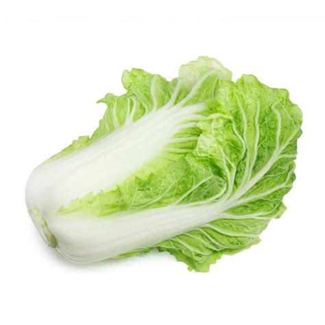 Napa Cabbage