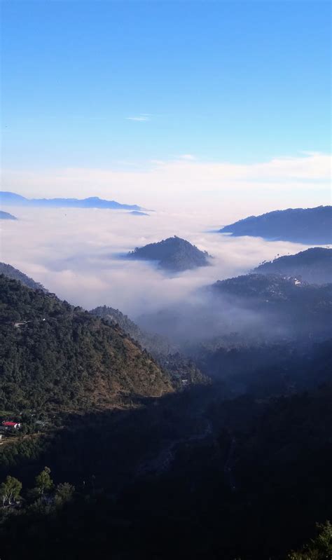 Nainital A Beautiful Hill Station | Hill station, Nainital, Zoo in india