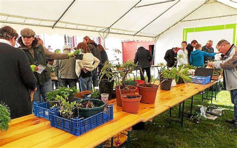 Troc aux plantes Une opération réussie Le Télégramme